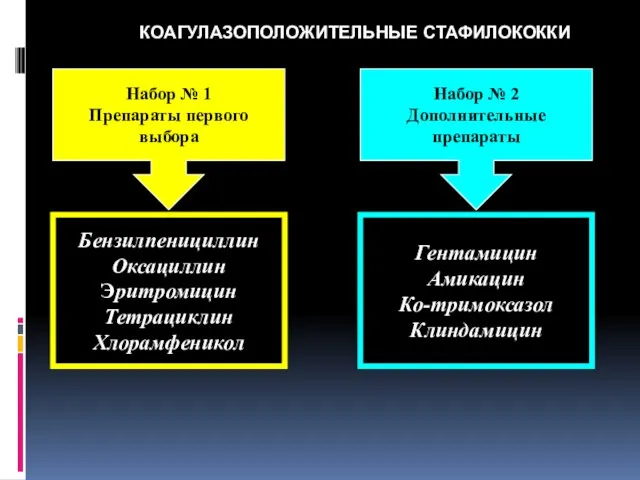 КОАГУЛАЗОПОЛОЖИТЕЛЬНЫЕ СТАФИЛОКОККИ Набор № 1 Препараты первого выбора Набор № 2