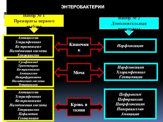 ЭНТЕРОБАКТЕРИИ Набор № 1 Препараты первого выбора Набор № 2 Дополнительные