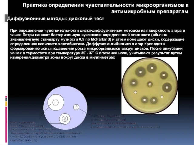 Диффузионные методы: дисковый тест При определении чувствительности диско-диффузионным методом на поверхность