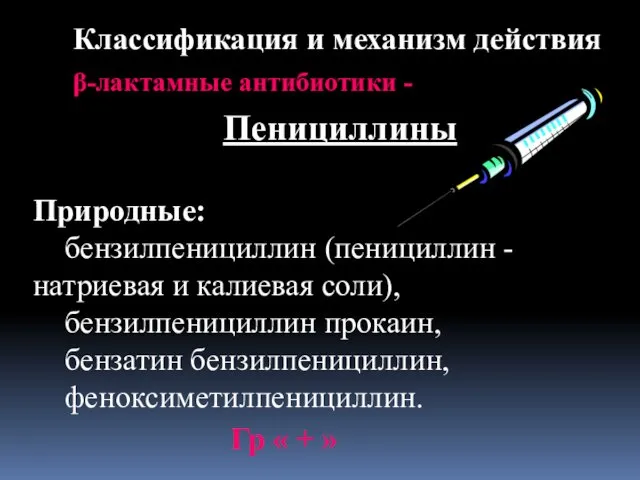 Классификация и механизм действия β-лактамные антибиотики - Пенициллины Природные: бензилпенициллин (пенициллин