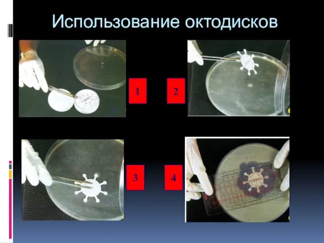 Использование октодисков 1 3 4 2