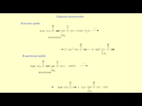 Гидролиз дипептидов В кислой среде: В щелочной среде:
