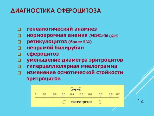 ДИАГНОСТИКА СФЕРОЦИТОЗА генеалогический анамнез нормохромная анемия (MCHC>36 г/дл) ретикулоцитоз (более 5%)