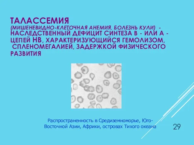 ТАЛАССЕМИЯ (МИШЕНЕВИДНО-КЛЕТОЧНАЯ АНЕМИЯ, БОЛЕЗНЬ КУЛИ) - НАСЛЕДСТВЕННЫЙ ДЕФИЦИТ СИНТЕЗА Β -