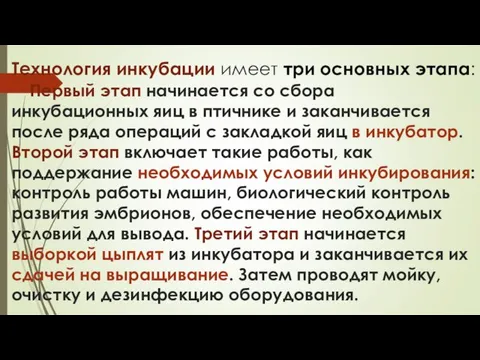 Технология инкубации имеет три основных этапа: Первый этап начинается со сбора