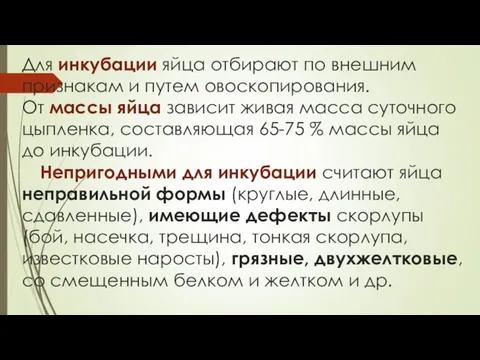 Для инкубации яйца отбирают по внешним признакам и путем овоскопирования. От