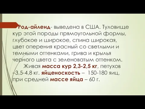 Род-айленд- выведена в США. Туловище кур этой породы прямоугольной формы, глубокое