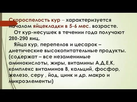 Скороспелость кур – характеризуется началом яйцекладки в 5-6 мес. возрасте. От