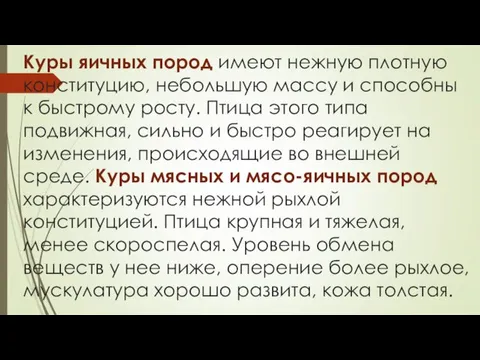 Куры яичных пород имеют нежную плотную конституцию, небольшую массу и способны