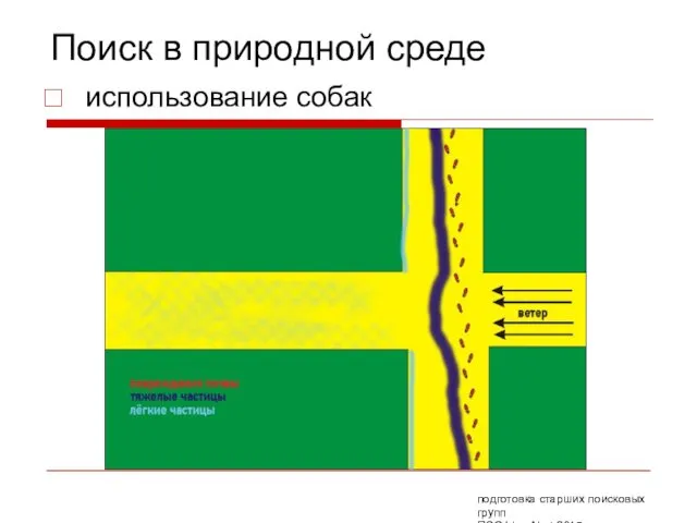 Поиск в природной среде использование собак подготовка старших поисковых групп ПСО Liza Alert 2015