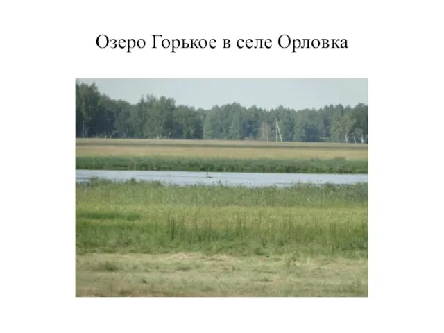 Озеро Горькое в селе Орловка