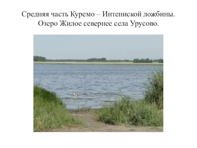Средняя часть Куремо – Интениской ложбины. Озеро Жилое севернее села Урусово.