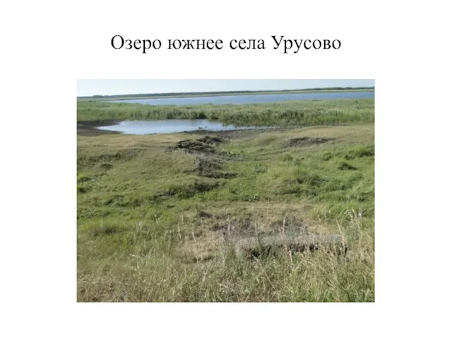 Озеро южнее села Урусово