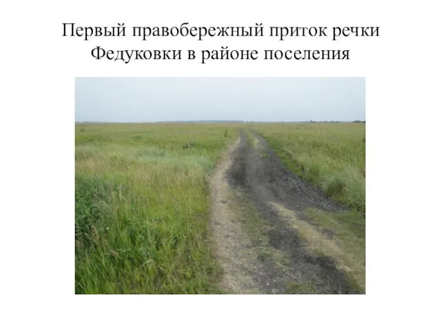 Первый правобережный приток речки Федуковки в районе поселения