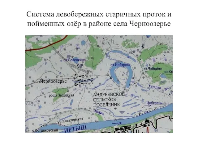 Система левобережных старичных проток и пойменных озёр в районе села Черноозерье
