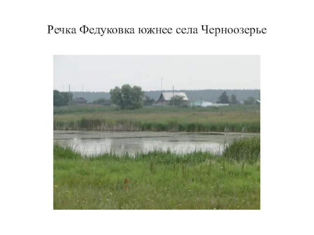 Речка Федуковка южнее села Черноозерье