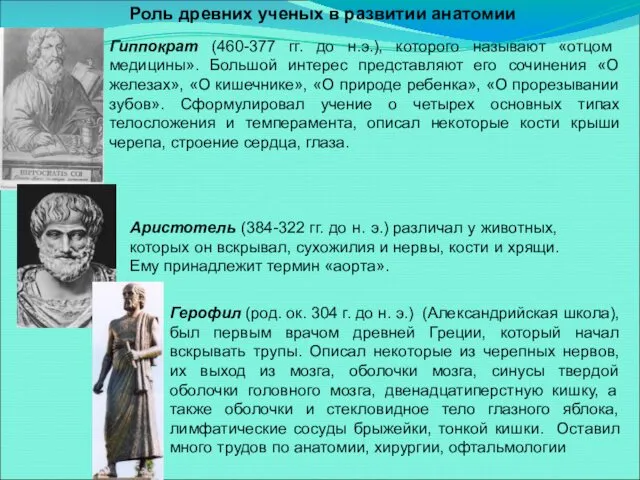 Роль древних ученых в развитии анатомии Гиппократ (460-377 гг. до н.э.),
