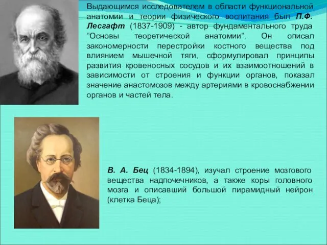 Выдающимся исследователем в области функциональной анатомии и теории физического воспитания был