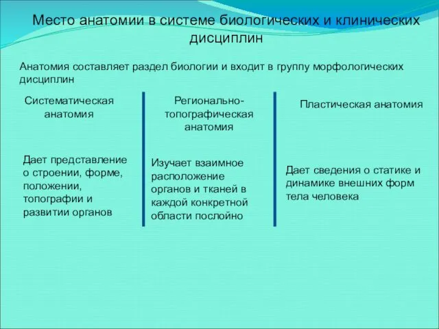 Место анатомии в системе биологических и клинических дисциплин Анатомия составляет раздел