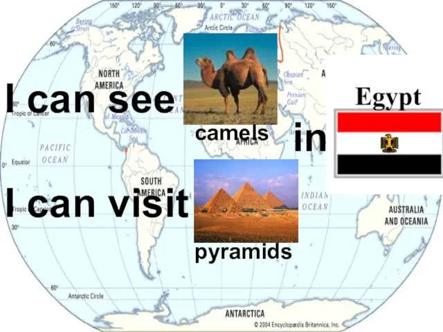 I can see I can visit in. . . camels pyramids