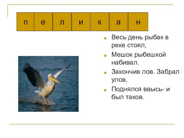 Весь день рыбак в реке стоял, Мешок рыбешкой набивал. Закончив лов.