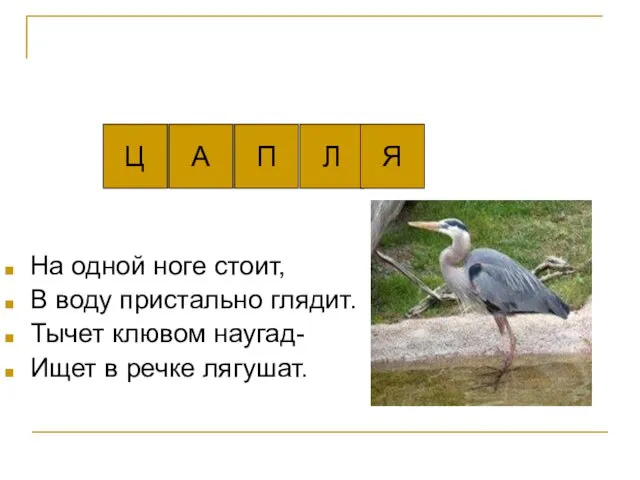 На одной ноге стоит, В воду пристально глядит. Тычет клювом наугад-