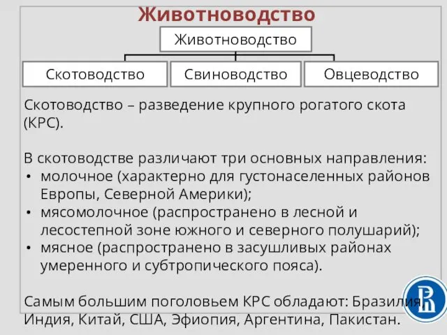 Животноводство Скотоводство – разведение крупного рогатого скота (КРС). В скотоводстве различают