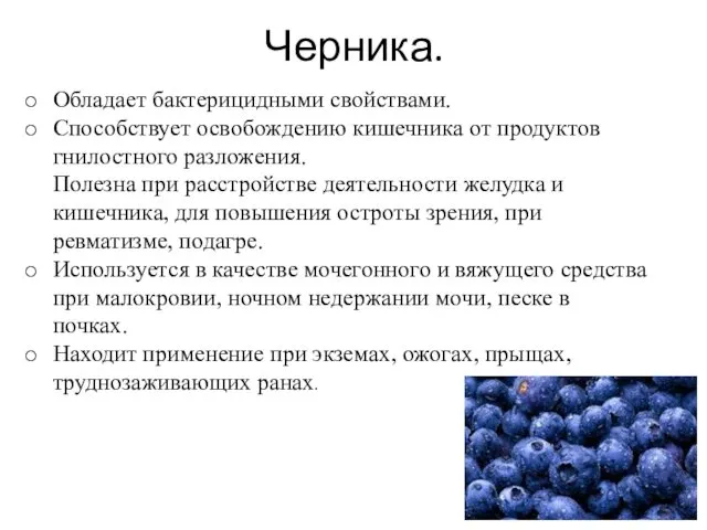 Черника. Обладает бактерицидными свойствами. Способствует освобождению кишечника от продуктов гнилостного разложения.