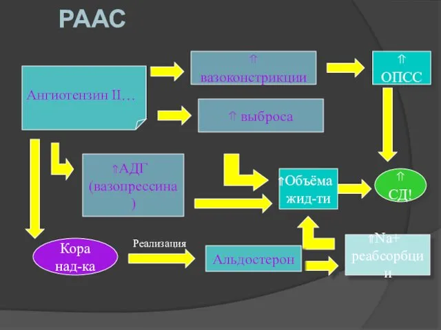 РААС Ангиотензин II…