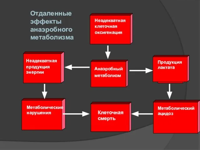 Отдаленные эффекты анаэробного метаболизма