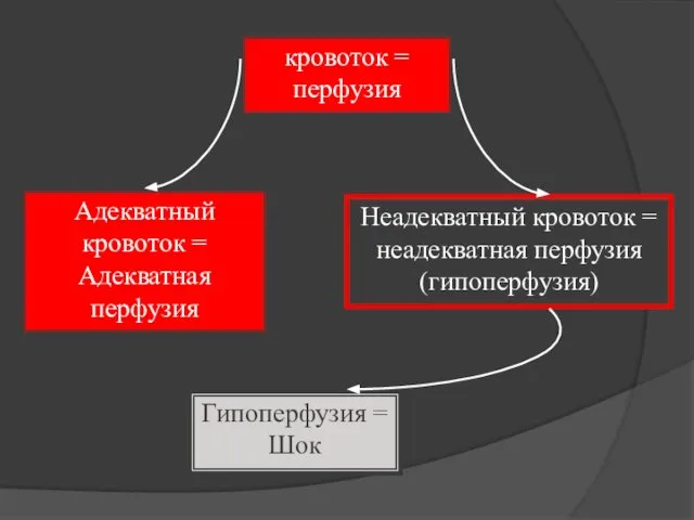 кровоток = перфузия Неадекватный кровоток = неадекватная перфузия (гипоперфузия) Адекватный кровоток