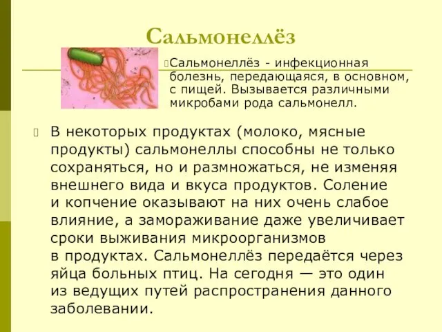 Сальмонеллёз В некоторых продуктах (молоко, мясные продукты) сальмонеллы способны не только