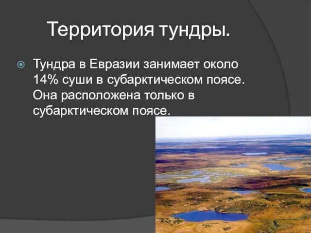 Территория тундры. Тундра в Евразии занимает около 14% суши в субарктическом