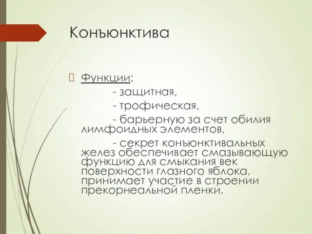 Конъюнктива Функции: - защитная, - трофическая, - барьерную за счет обилия