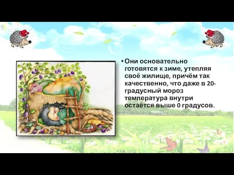 Они основательно готовятся к зиме, утепляя своё жилище, причём так качественно,