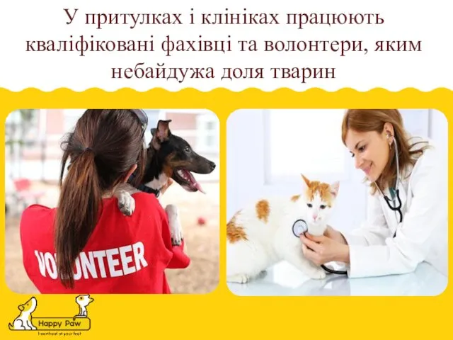 У притулках і клініках працюють кваліфіковані фахівці та волонтери, яким небайдужа доля тварин