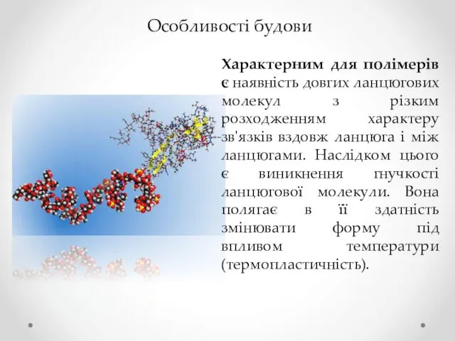 Особливості будови Характерним для полімерів є наявність довгих ланцюгових молекул з
