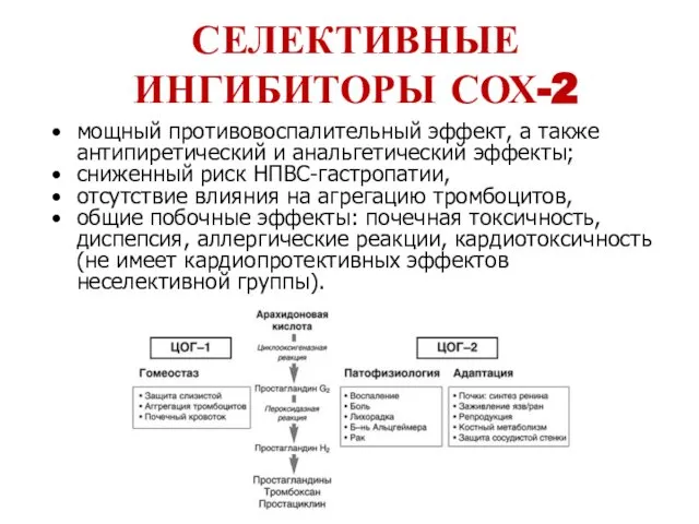 СЕЛЕКТИВНЫЕ ИНГИБИТОРЫ СОХ-2 мощный противовоспалительный эффект, а также антипиретический и анальгетический