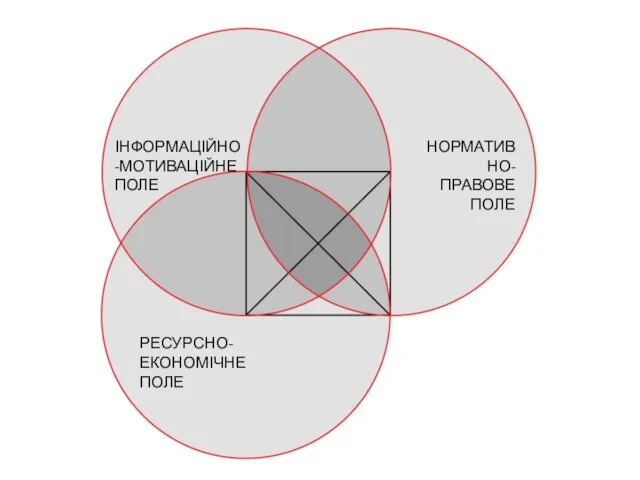 ІНФОРМАЦІЙНО-МОТИВАЦІЙНЕ ПОЛЕ НОРМАТИВНО-ПРАВОВЕ ПОЛЕ РЕСУРСНО-ЕКОНОМІЧНЕ ПОЛЕ