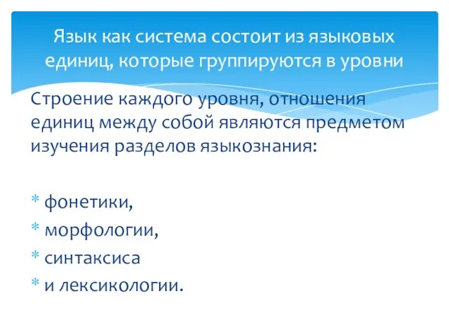 Строение каждого уровня, отношения единиц между собой являются предметом изучения разделов