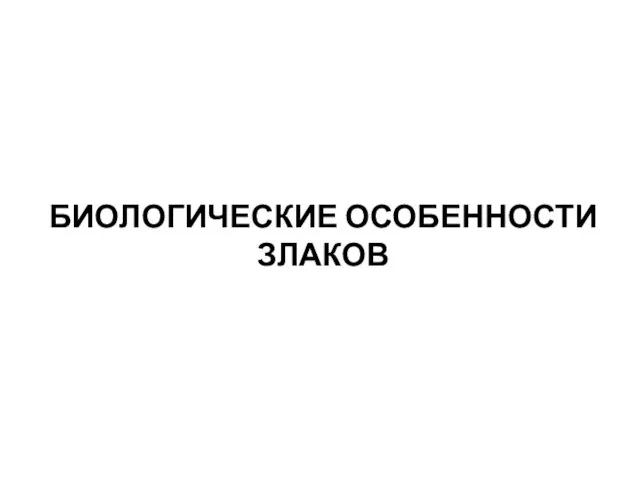 БИОЛОГИЧЕСКИЕ ОСОБЕННОСТИ ЗЛАКОВ