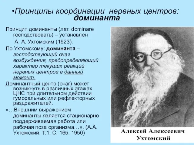 Принципы координации нервных центров: доминанта Принцип доминанты (лат. dominare господствовать) –