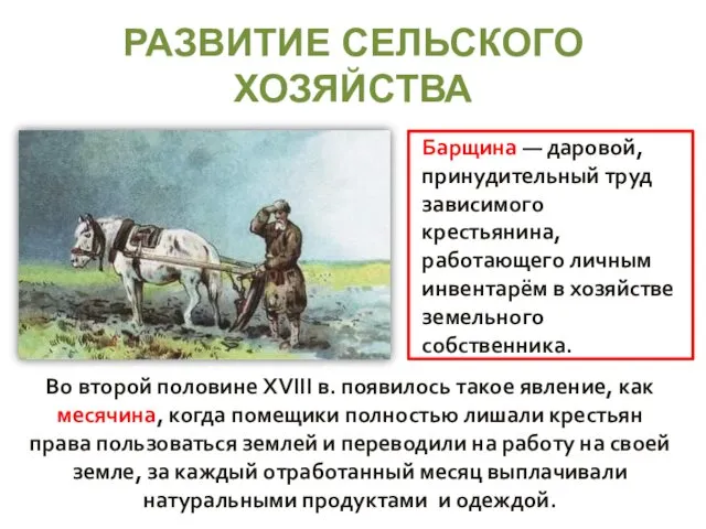 РАЗВИТИЕ СЕЛЬСКОГО ХОЗЯЙСТВА Во второй половине XVIII в. появилось такое явление,