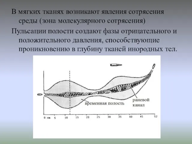 В мягких тканях возникают явления сотрясения среды (зона молекулярного сотрясения) Пульсации