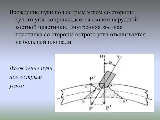 Вхождение пули под острым углом со стороны тупого угла сопровождается сколом