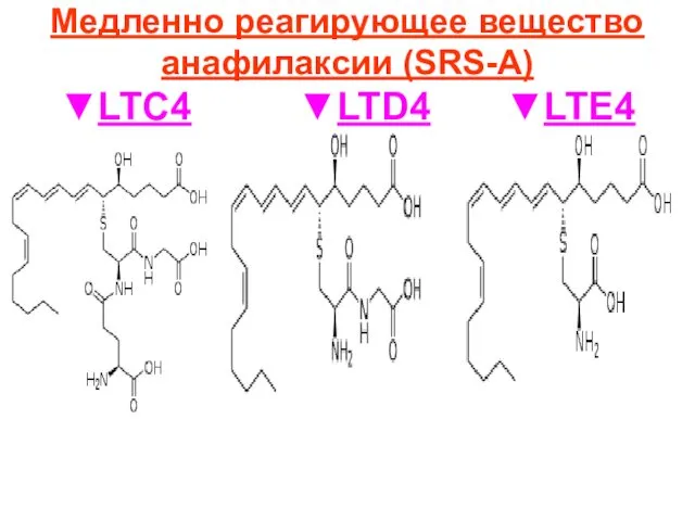 Медленно реагирующее вещество анафилаксии (SRS-A) ▼LTC4 ▼LTD4 ▼LTE4