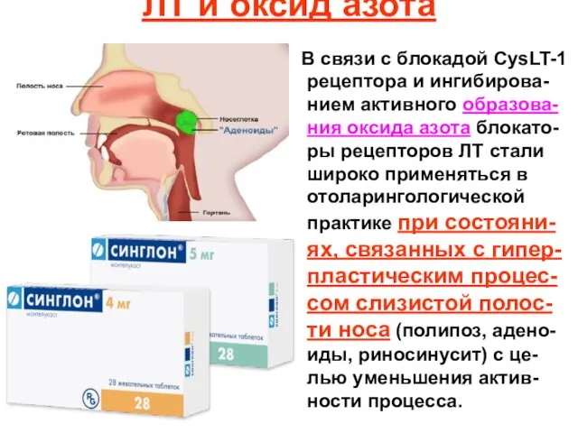 ЛТ и оксид азота В связи с блокадой CysLT-1 рецептора и