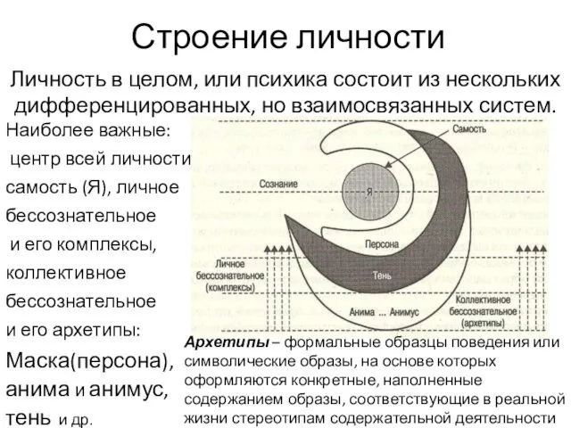 Строение личности Личность в целом, или психика состоит из нескольких дифференцированных,