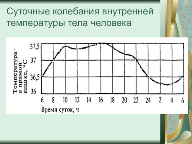 Суточные колебания внутренней температуры тела человека