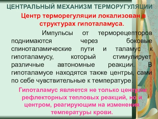 ЦЕНТРАЛЬНЫЙ МЕХАНИЗМ ТЕРМОРУГУЛЯЦИИ Центр терморегуляции локализован в структурах гипоталамуса. Импульсы от